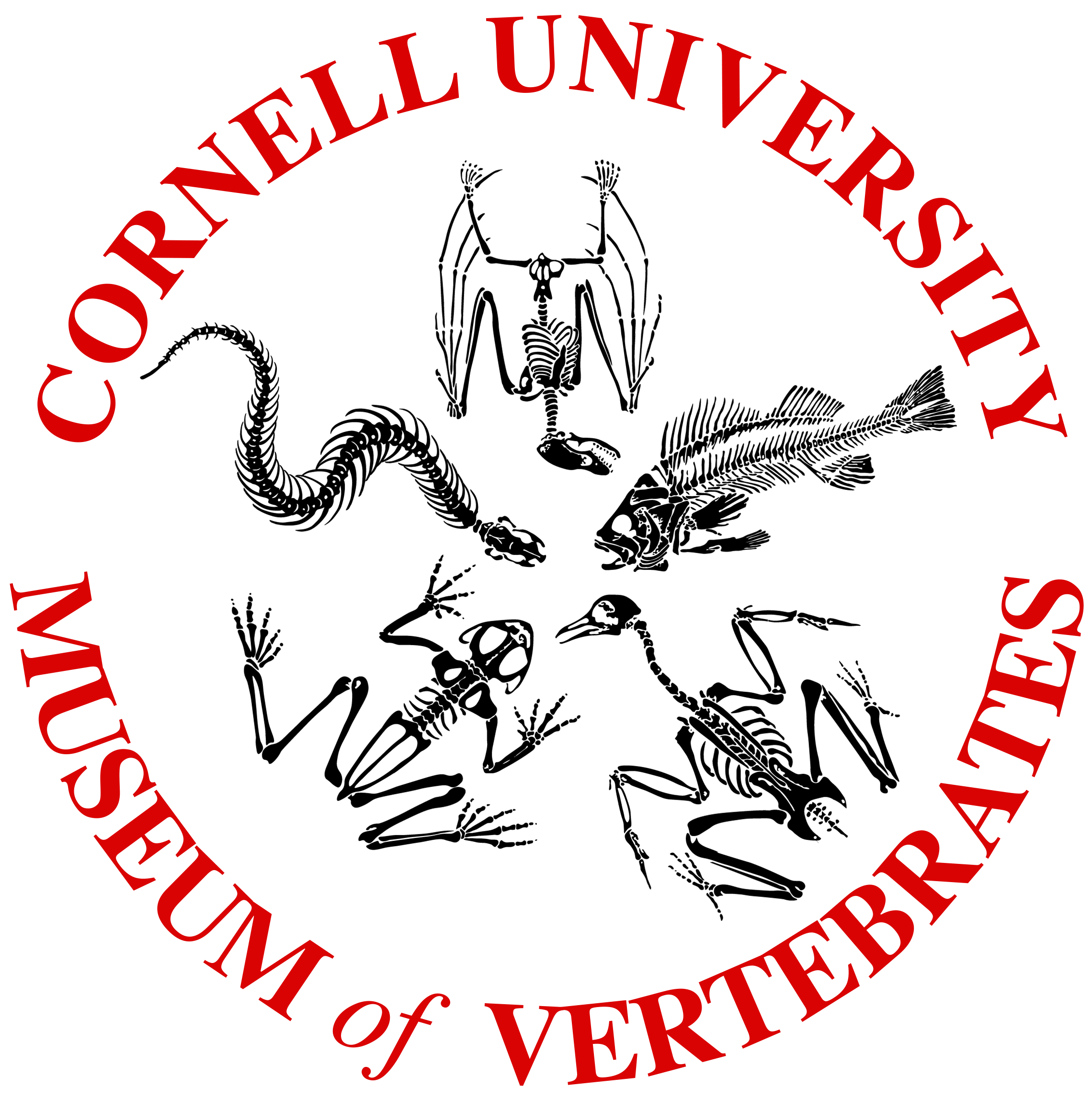 Cornell University Museum of Vertebrates logo